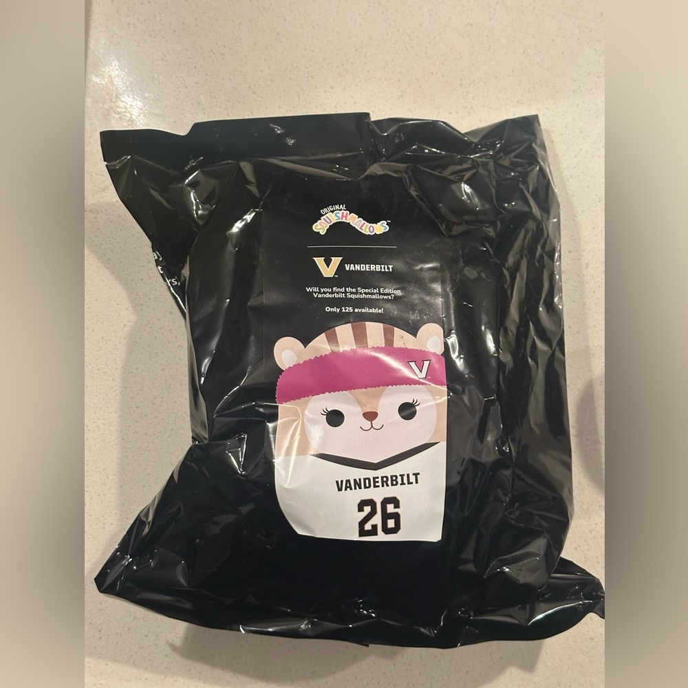 Unopened Vanderbilt Squishmallow with pink head band #26
